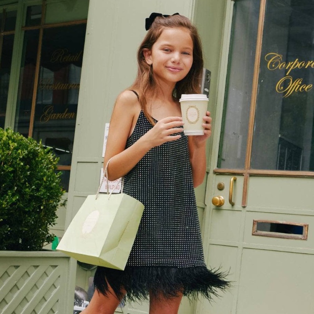 Lola And The Boys Midnight Crystal Feather Dress